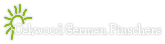Oakwood German Pinschers