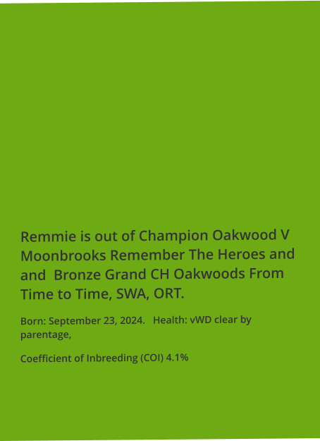 Remmie is out of Champion Oakwood V Moonbrooks Remember The Heroes and  and  Bronze Grand CH Oakwoods From Time to Time, SWA, ORT.   Born: September 23, 2024.   Health: vWD clear by parentage, Coefficient of Inbreeding (COI) 4.1%