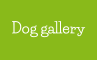 Dog gallery