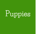 Puppies