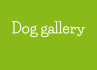 Dog gallery