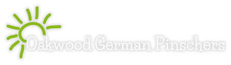 Oakwood German Pinschers